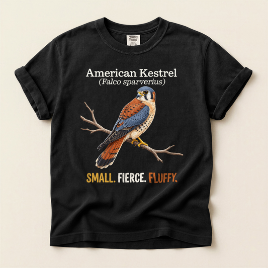 American Kestrel Fluffy - Black