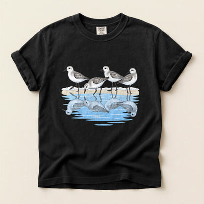 Sanderlings On Shore - Black