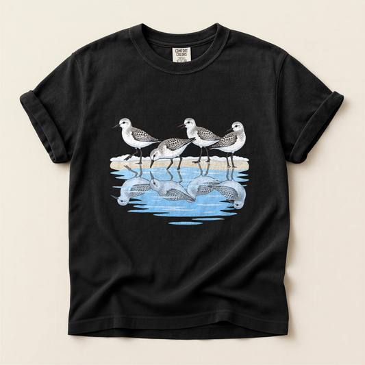 Sanderlings On Shore - Black
