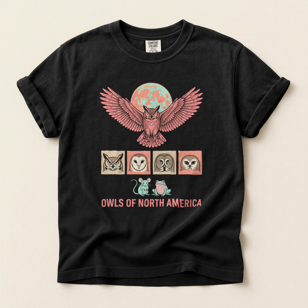 Owls North America - Black