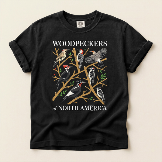 Woodpeckers North America - Black