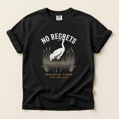No Regrets Crane - Black