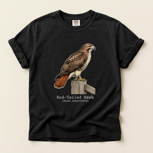 Red Tailed Hawk - Black