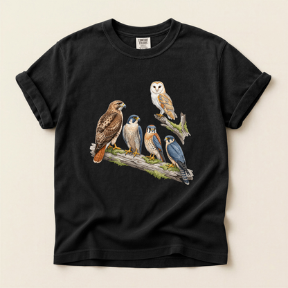 Raptor Perch Group - Black