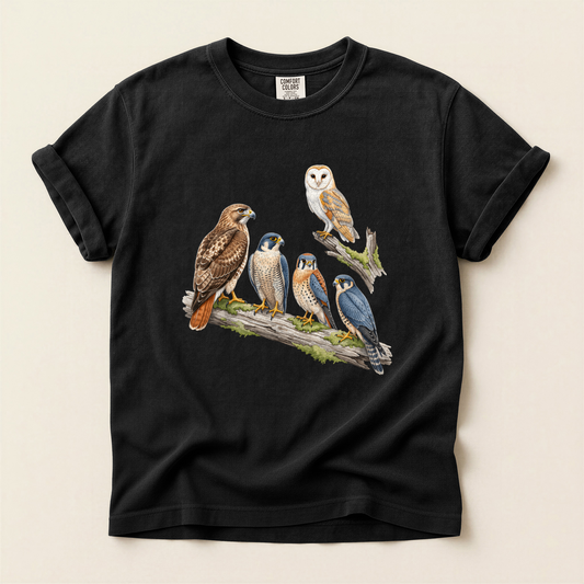 Raptor Perch Group - Black