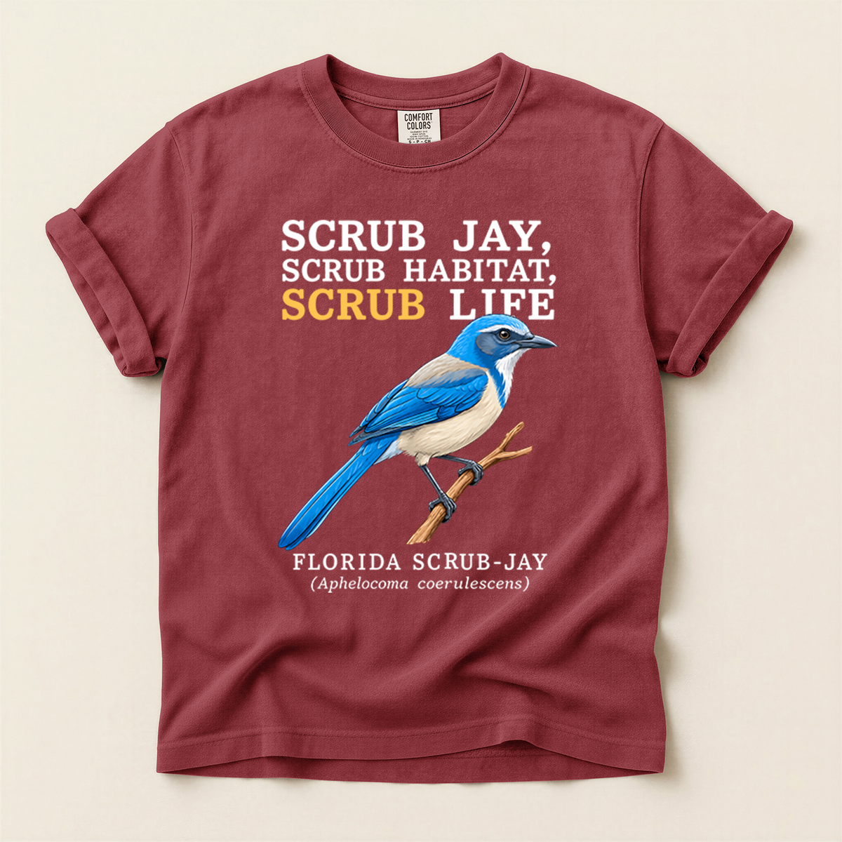 Florida Scrub Jay - Brick