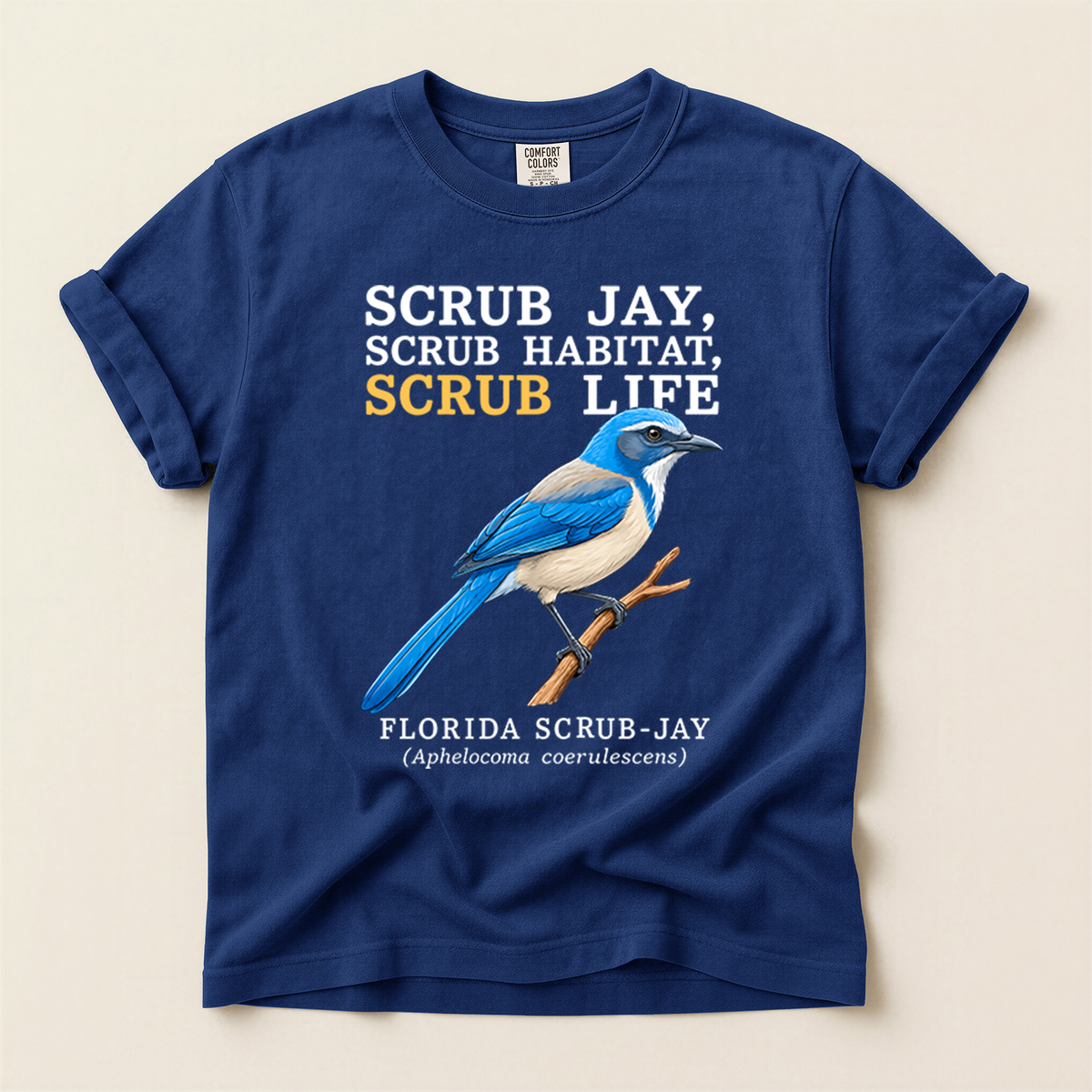 Florida Scrub Jay - True Navy