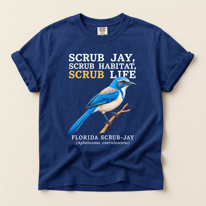 Florida Scrub Jay - True Navy