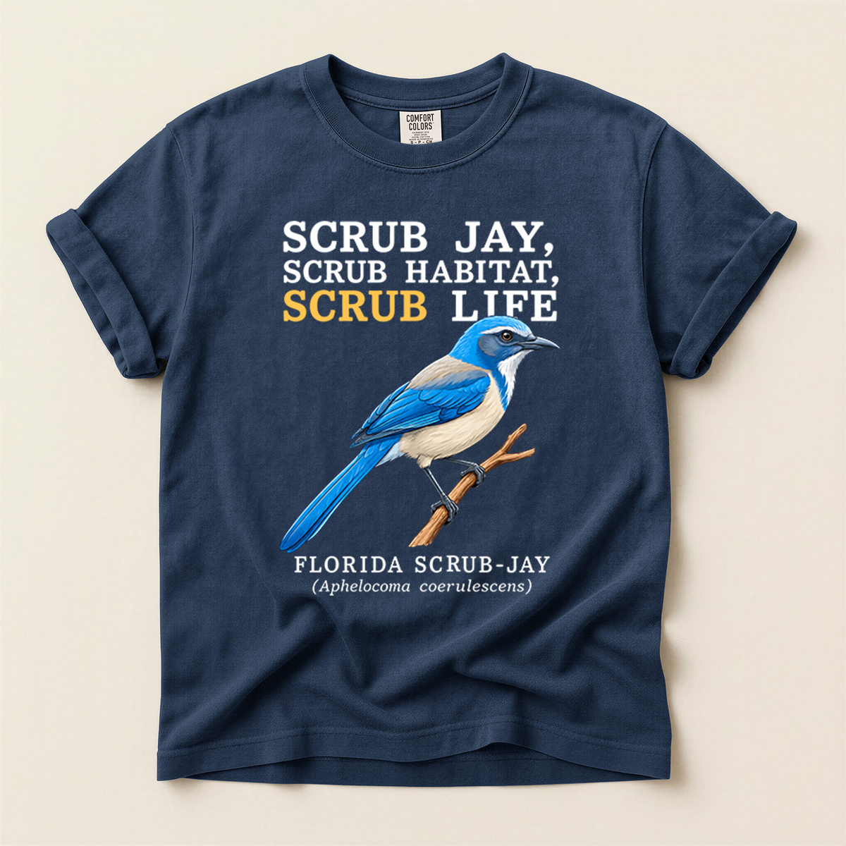 Florida Scrub Jay - Navy