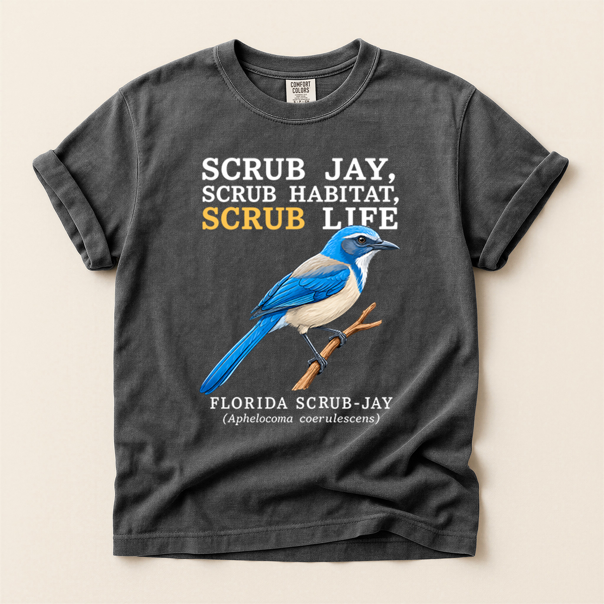 Florida Scrub Jay - Pepper