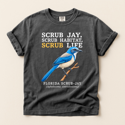 Florida Scrub Jay - Pepper