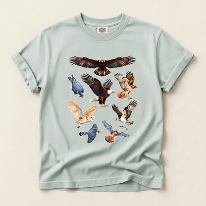 Raptors Of America - Bay