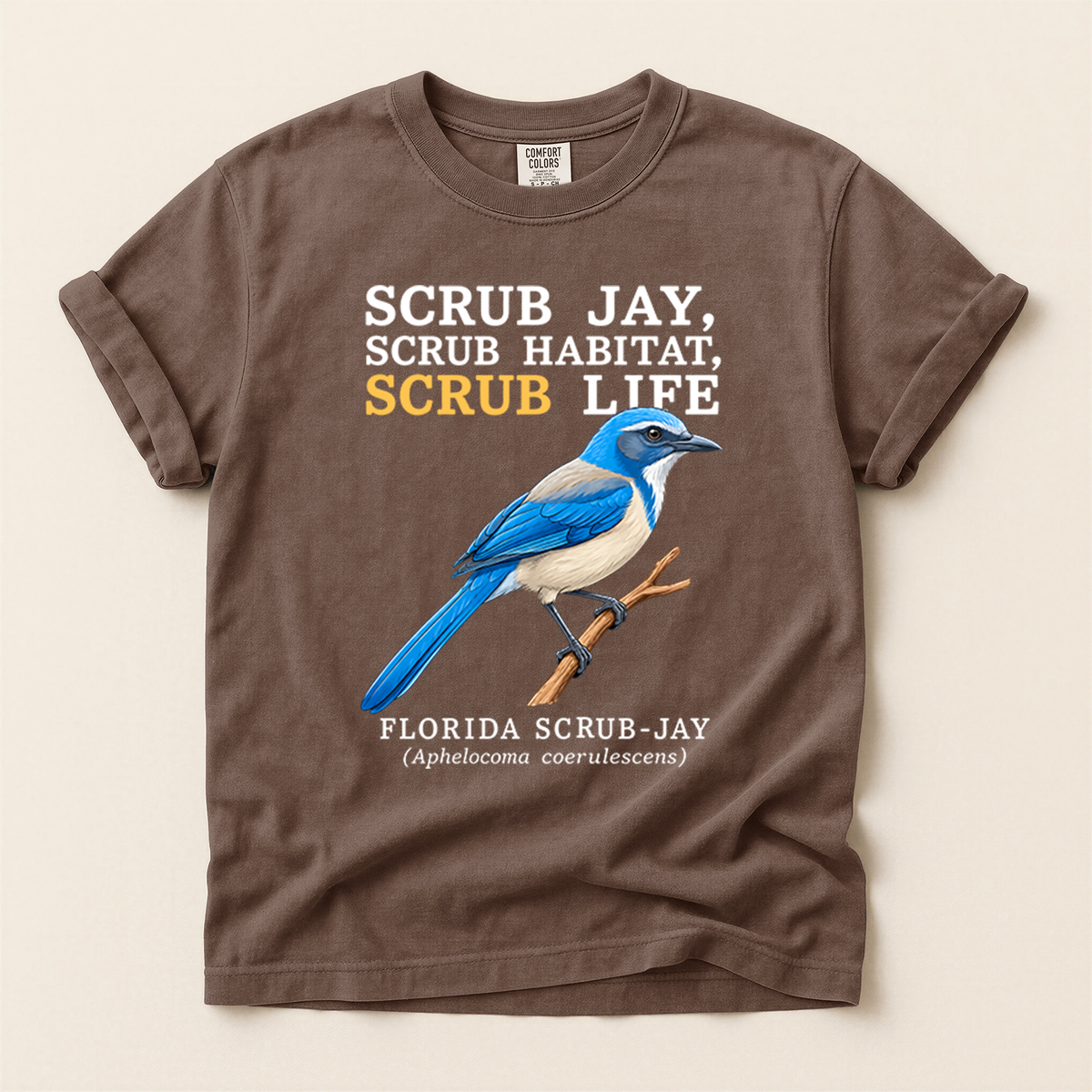 Florida Scrub Jay - Espresso