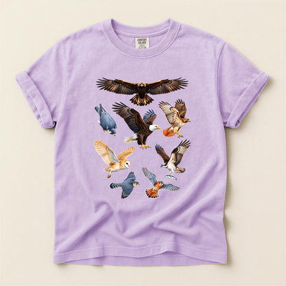 Raptors Of America - Orchid