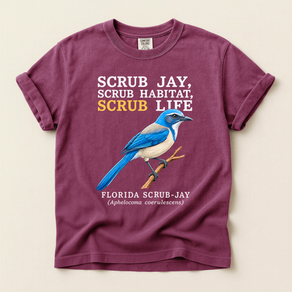 Florida Scrub Jay - Berry