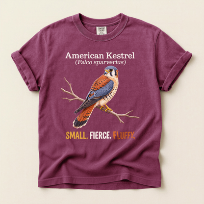 American Kestrel Fluffy - Berry