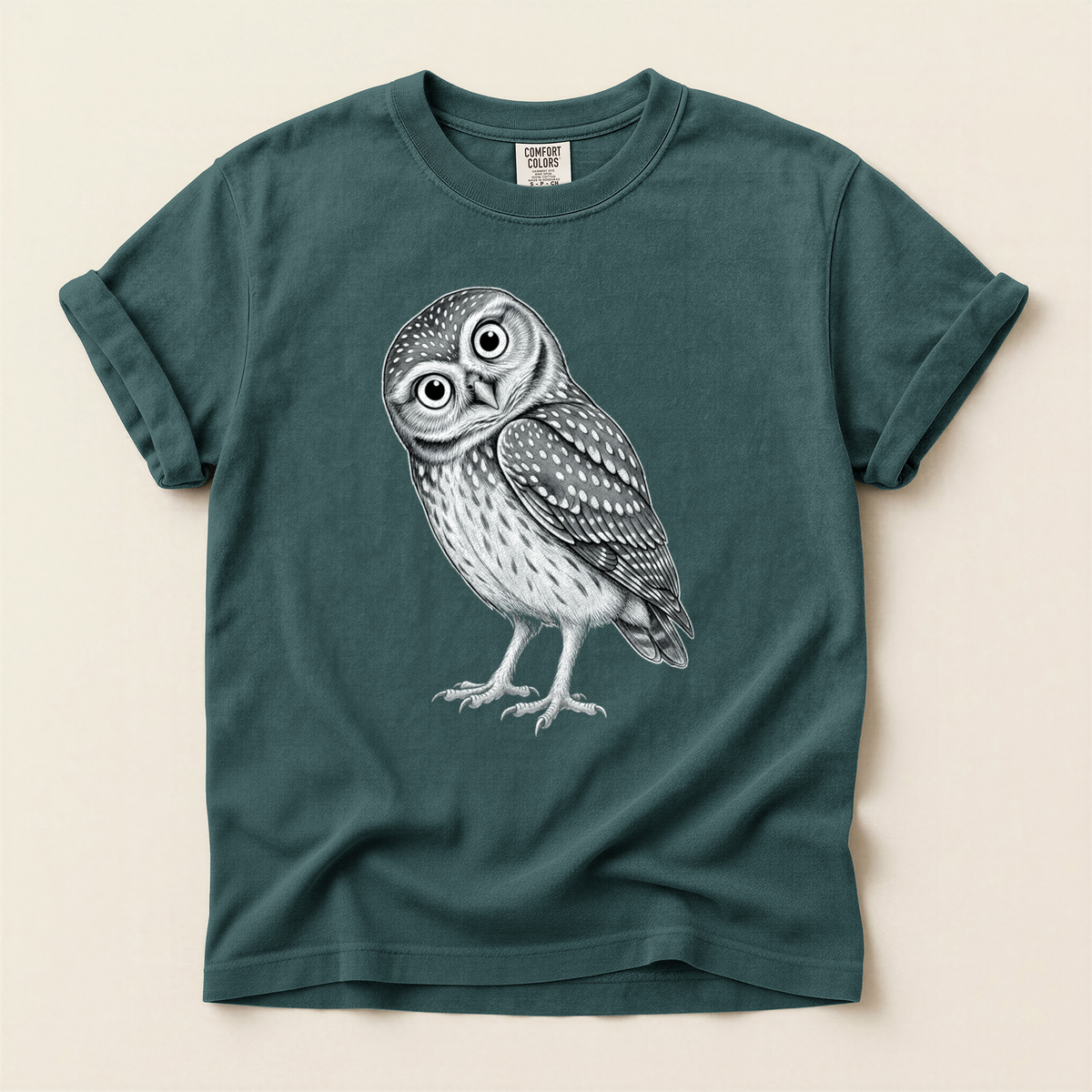Little Owl Sketch - Blue Spruce