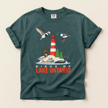 Birds Lake Ontario - Blue Spruce