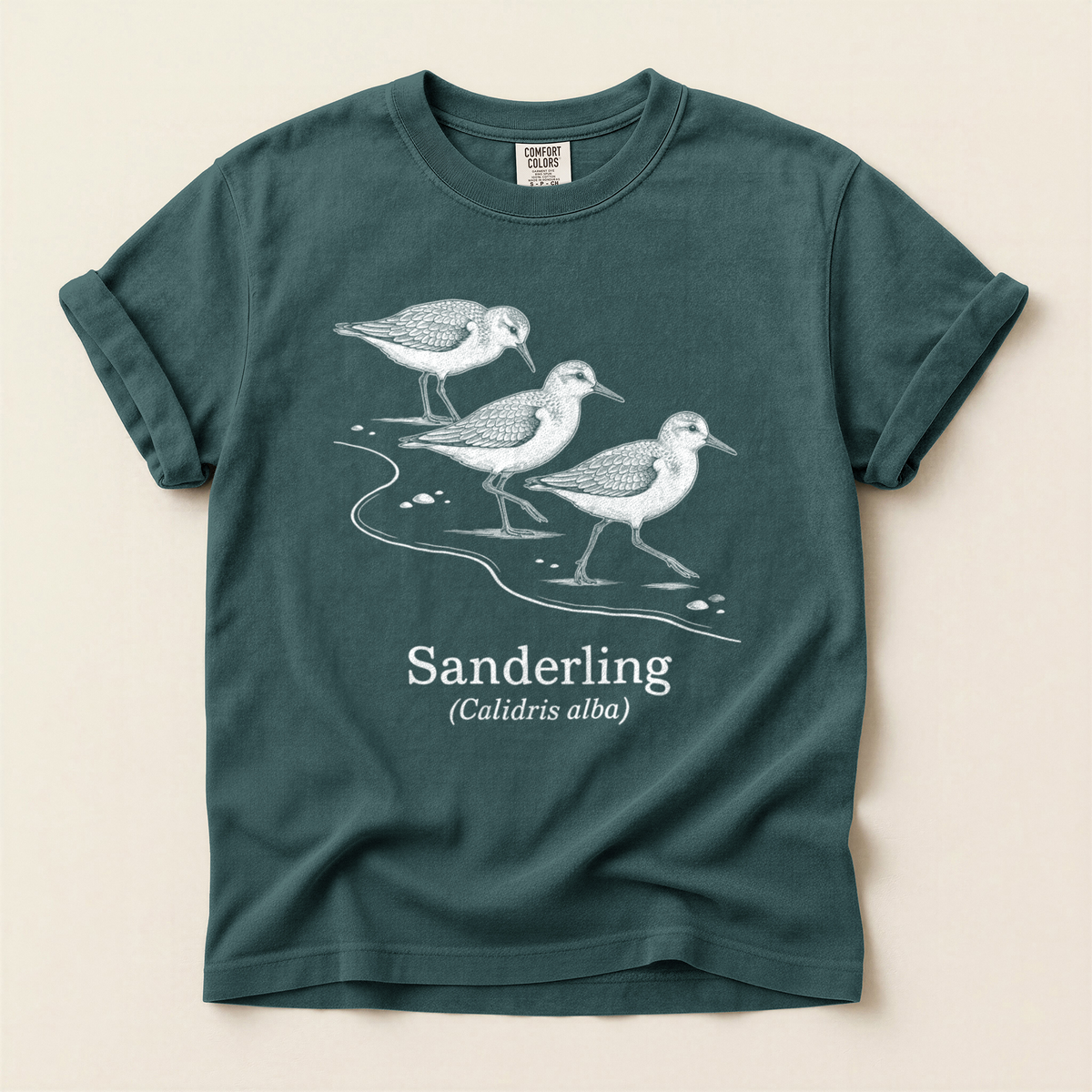 Sanderling Line Art - Blue Spruce