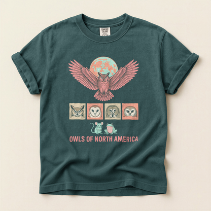 Owls North America - Blue Spruce