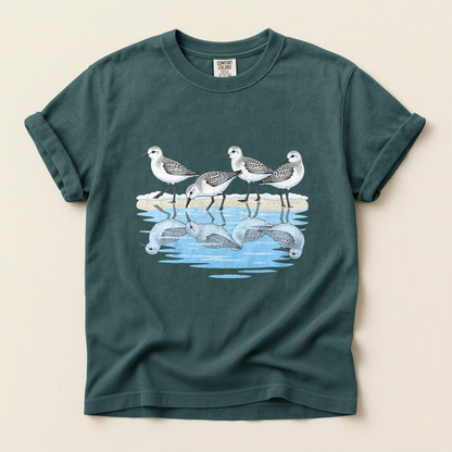Sanderlings On Shore - Blue Spruce