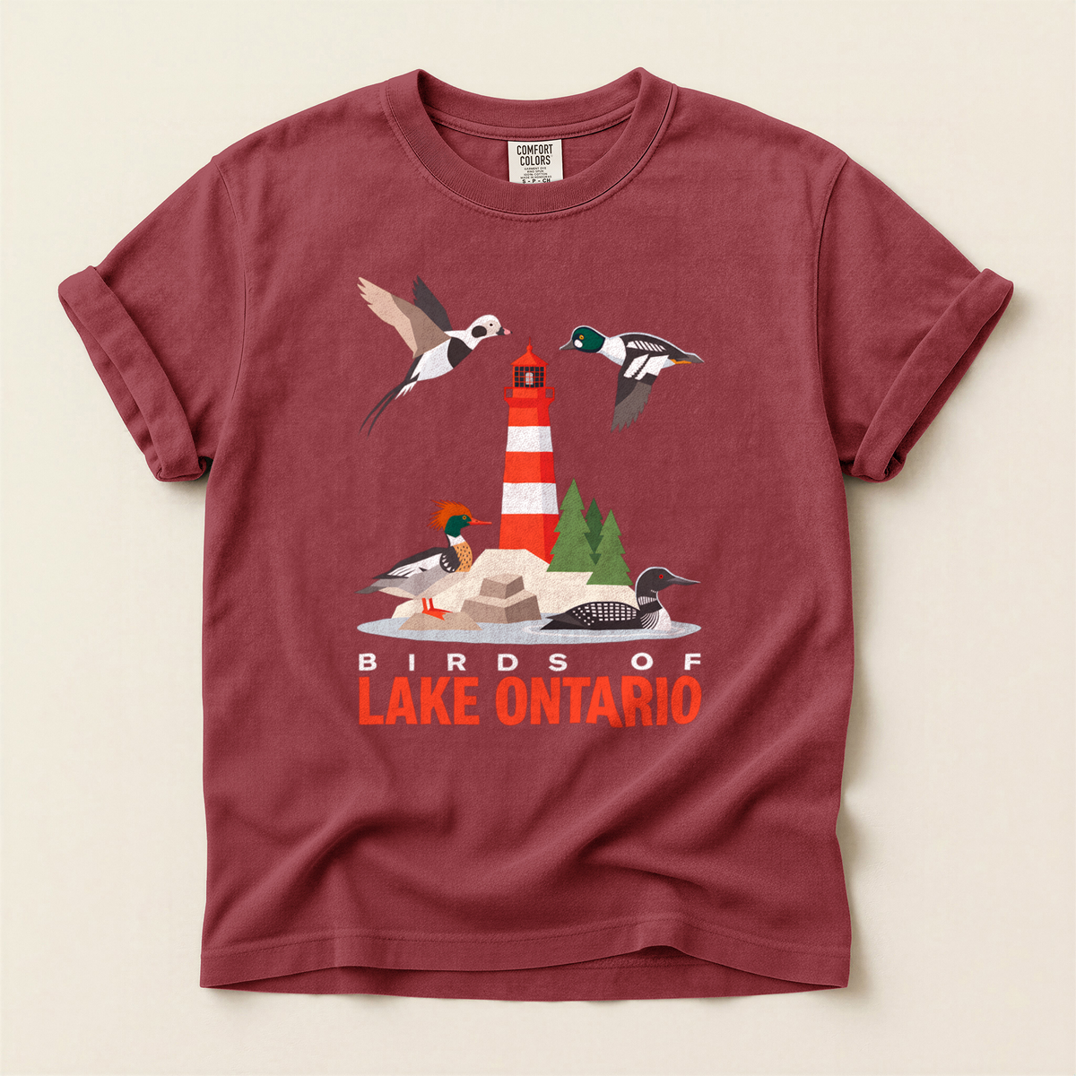 Birds Lake Ontario - Brick