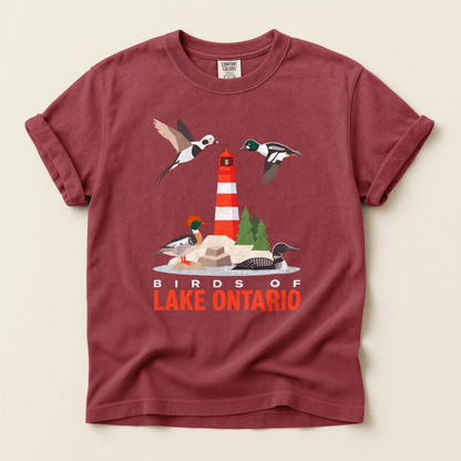 Birds Lake Ontario - Brick