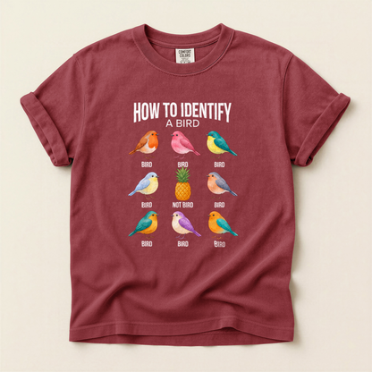 How Identify Bird - Brick
