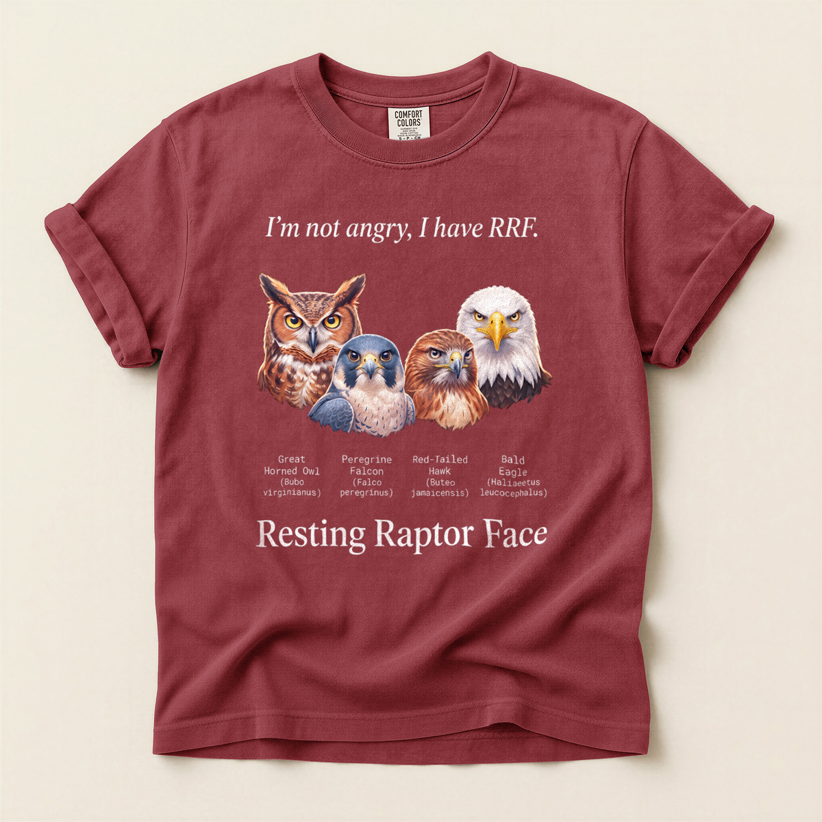 Resting Raptor Face - Brick