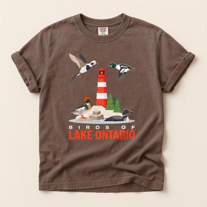 Birds Lake Ontario - Espresso