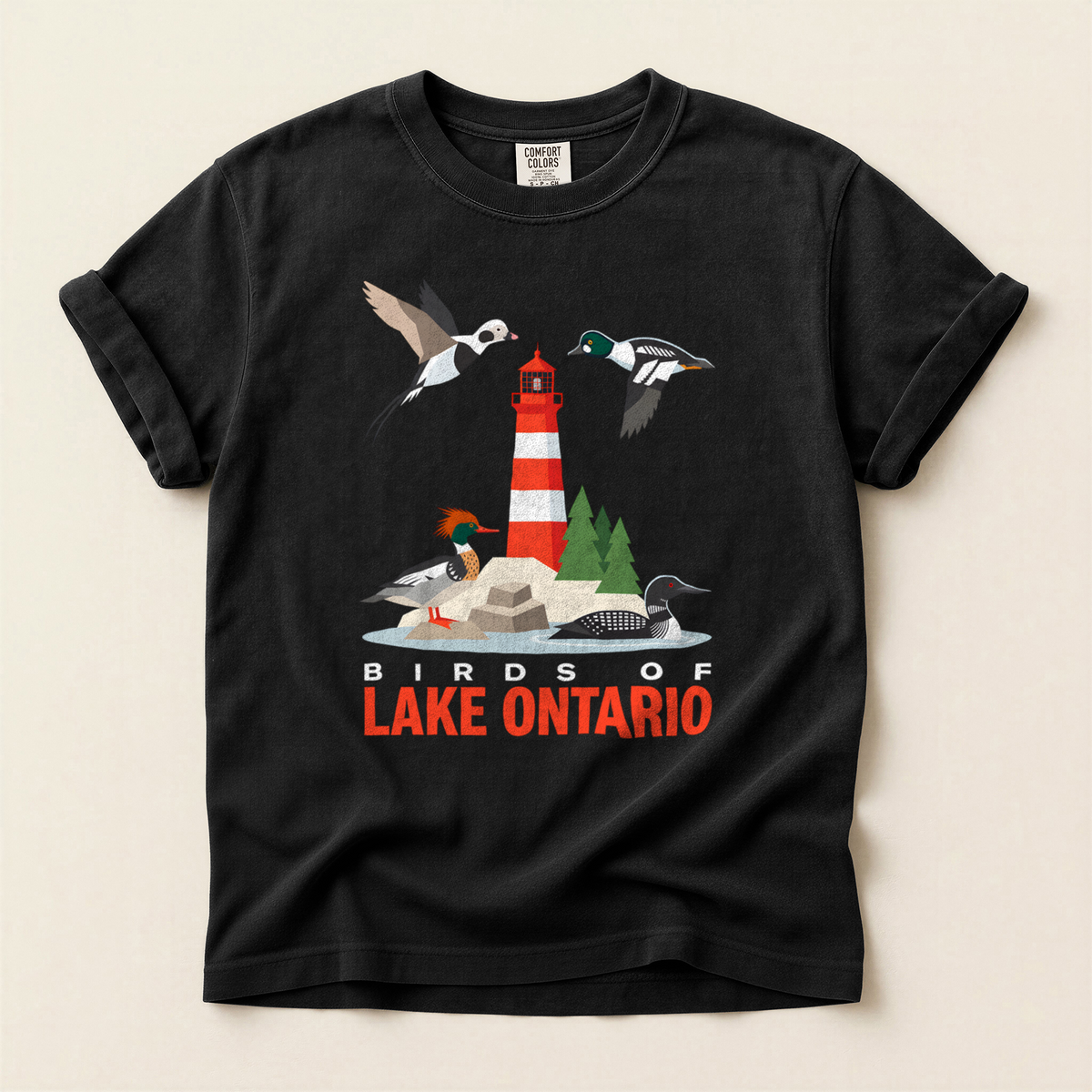 Birds Lake Ontario - Grey