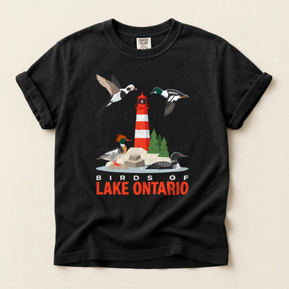 Birds Lake Ontario - Grey