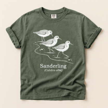 Sanderling Line Art - Moss