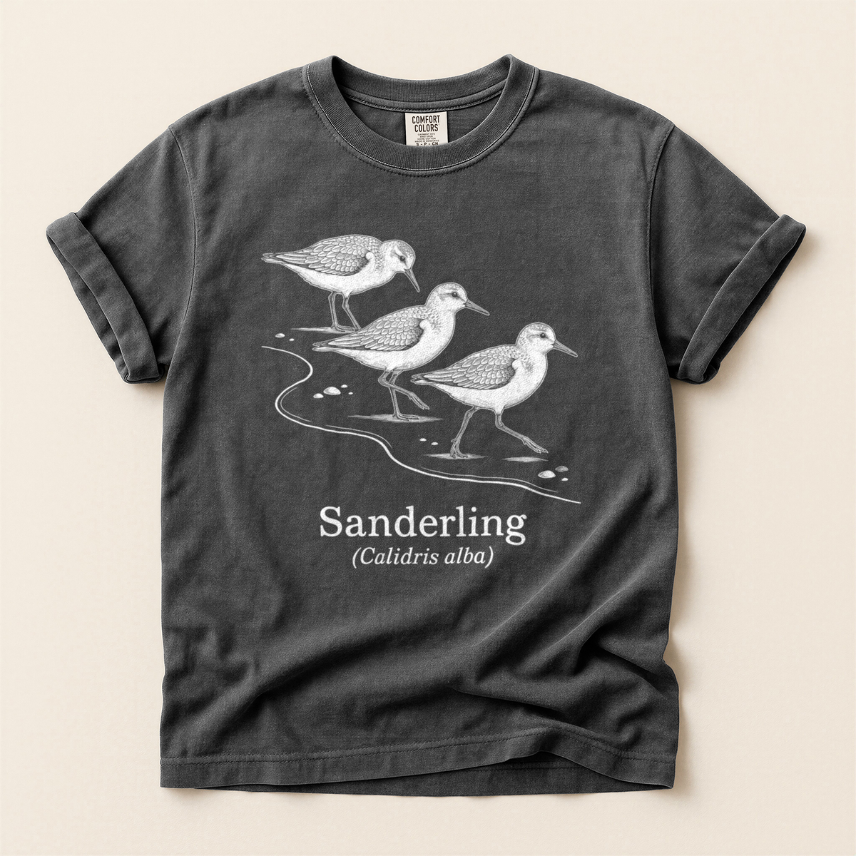 Sanderling Line Art - Pepper