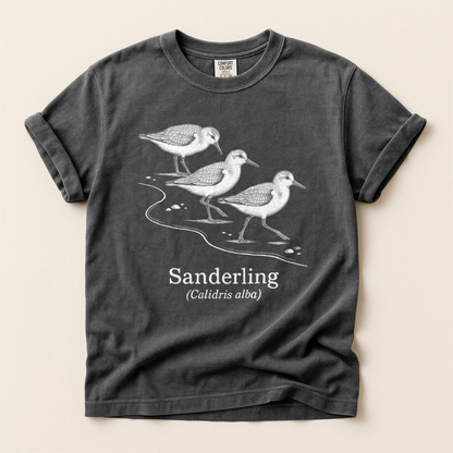 Sanderling Line Art - Pepper