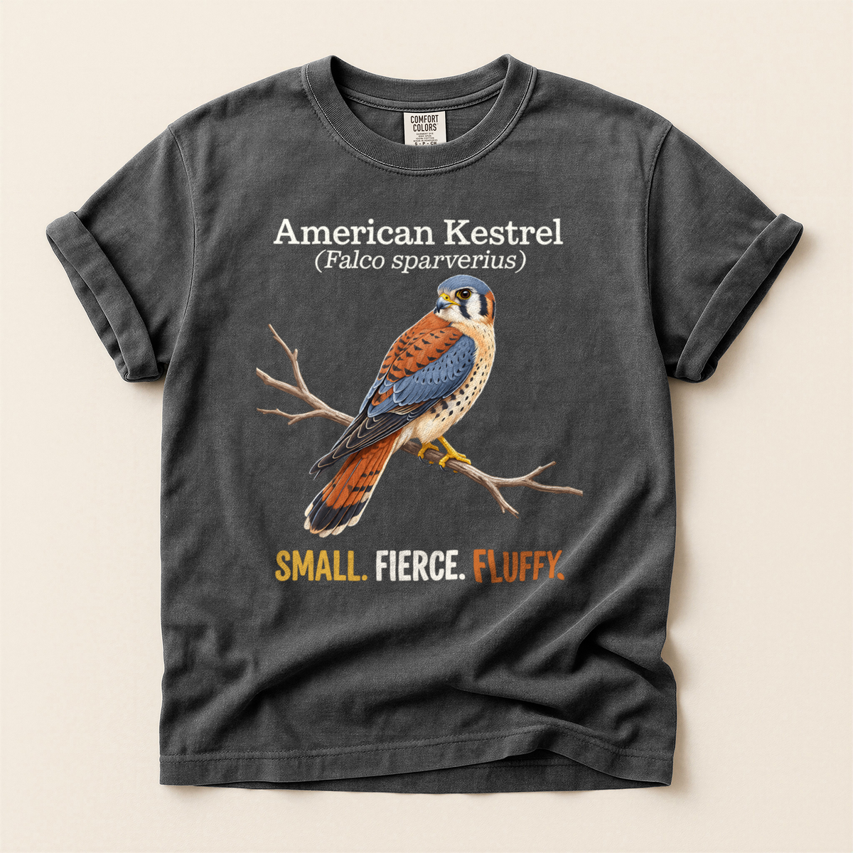 American Kestrel Fluffy - Pepper