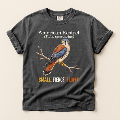 American Kestrel Fluffy - Pepper