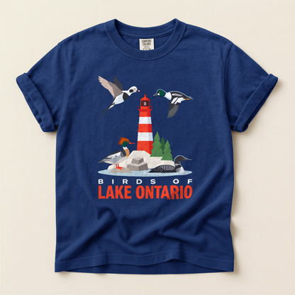 Birds Lake Ontario - True Navy